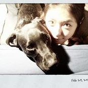 Haichen Liu's photo