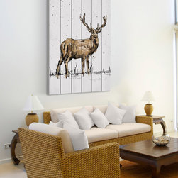 Cerf Adulte - Products
