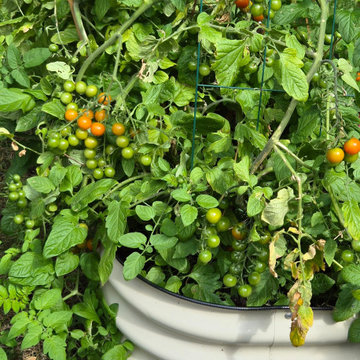 An Eco-conscious Garden: Permeable patio + walkway; Child-friendly Edible Garden