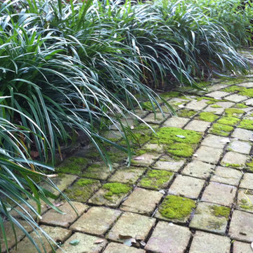 Crystal Falls™ Mondo Grass