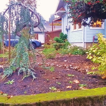 Woodstock Craftsman Cottage Rain Garden