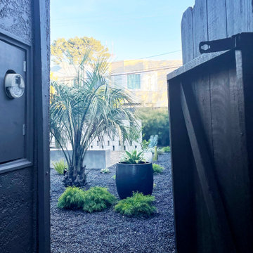 Mexico City Inspired Garden
