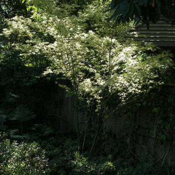 Plantings