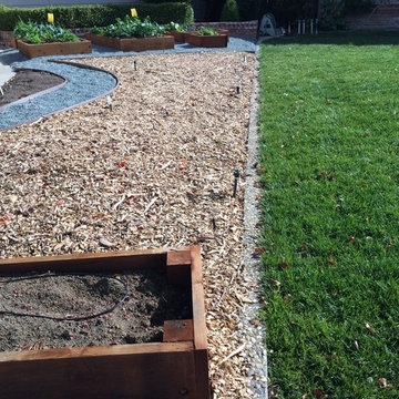 Front Yard Lawn Conversion: Phase 1