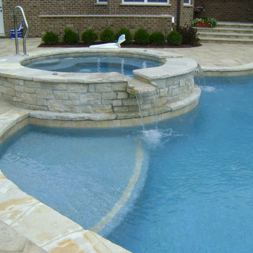 Free Form Pool in Lincolnshire, IL