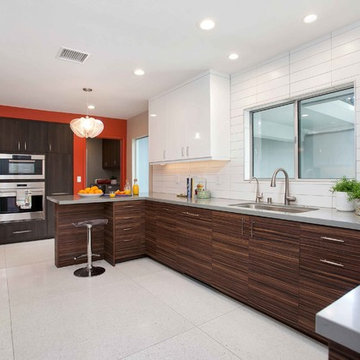Mid-Century Modern Rendition