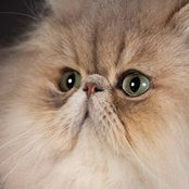 Sabine Bouchard's photo