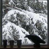 Renee Carrell's photo