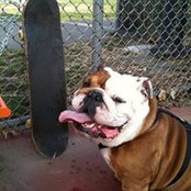 Brock Wollett's photo