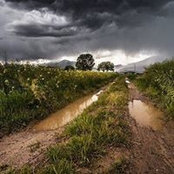 Leanne Osander's photo