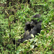 Viraj Patel's photo