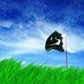 Foto von Batool Murtaza