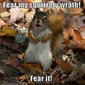 Stephanie Clark Sidora's photo