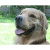 Lois Minsky's photo