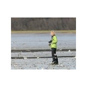 Debra Seltzer's photo