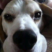 Katherine Granich's photo