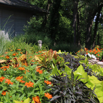 Vast Landscape Stewardship
