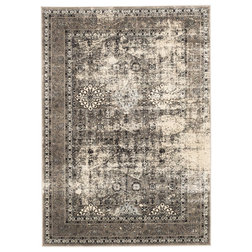 Transitional Area Rugs by ECARPETGALLERY