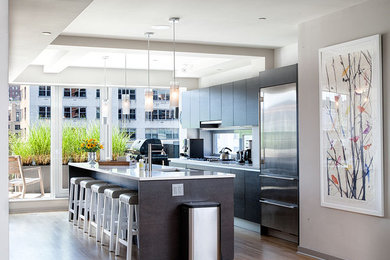 Kitchen - contemporary kitchen idea in New York