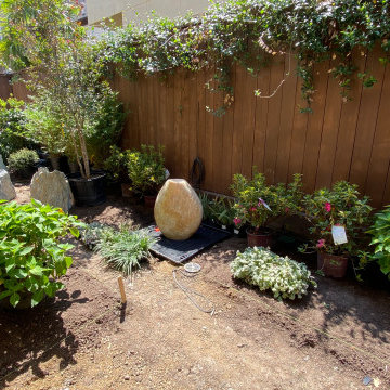 Plant Placement