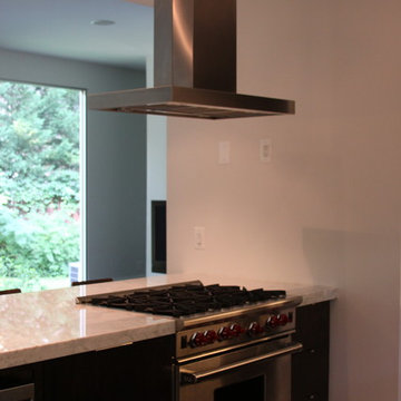 Buckhead Modern Architectural Home Remodel
