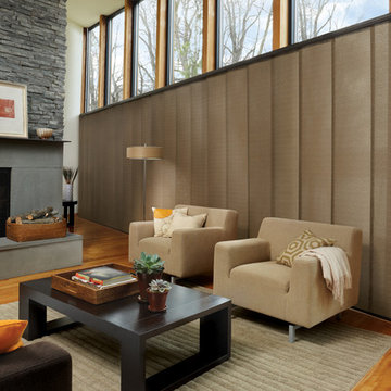 Hunter Douglas Contemporary Living Window Treatments and Draperies