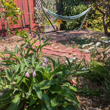 Backyard Production Garden, San Francisco