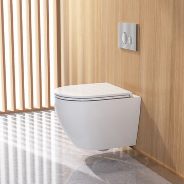 DeerValley Wall Mounted Toilet with Soft Closing Seat,Dual Flush Toilet,Tankless