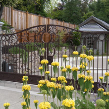 gate