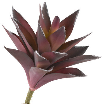 9.5" Lavender and Green Aloe Plant, Set of 3