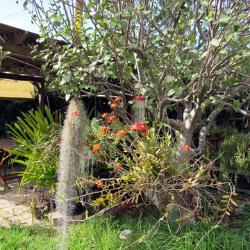Back yard landscaping