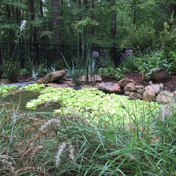 Artificial swamp/pollinator-friendly garden