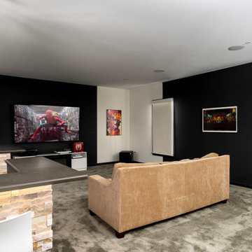 Media Room (Man Cave)