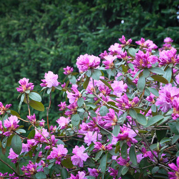 Walled Garden
