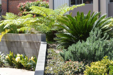Design ideas for a traditional garden in Sydney.