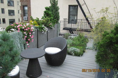 Brooklyn Heights roof garden