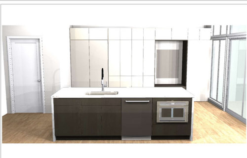 Kitchen design - I know you have great ideas so please! | Houzz Forum