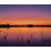 Mark Briggs's photo