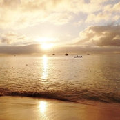 Stacy Browner's photo