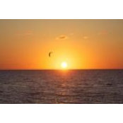Linda Thompson's photo