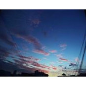 Ly Vương's photo