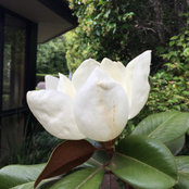julie herbert's photo