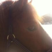 Tabitha Vetter's photo