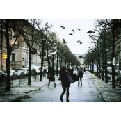 Goeun Kim's photo