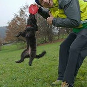 Foto von Rade Komandant Data