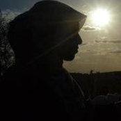 Butool Jafris foto