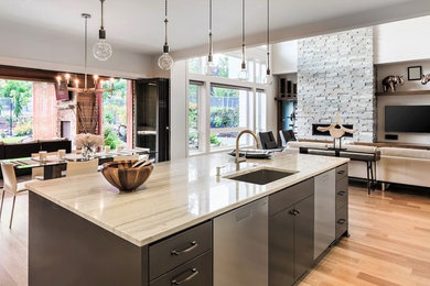 Kitchen - contemporary kitchen idea