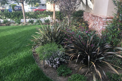 Inspiration for a landscaping in Los Angeles.