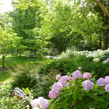 Privacy Border Landscape