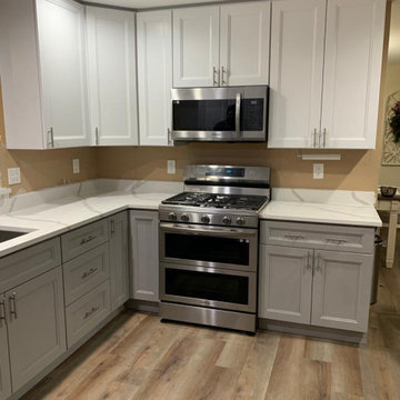 Contemporary Kitchen Renovation